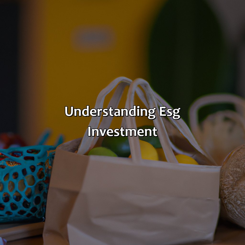 Understanding ESG Investment-what is an esg investment?, 