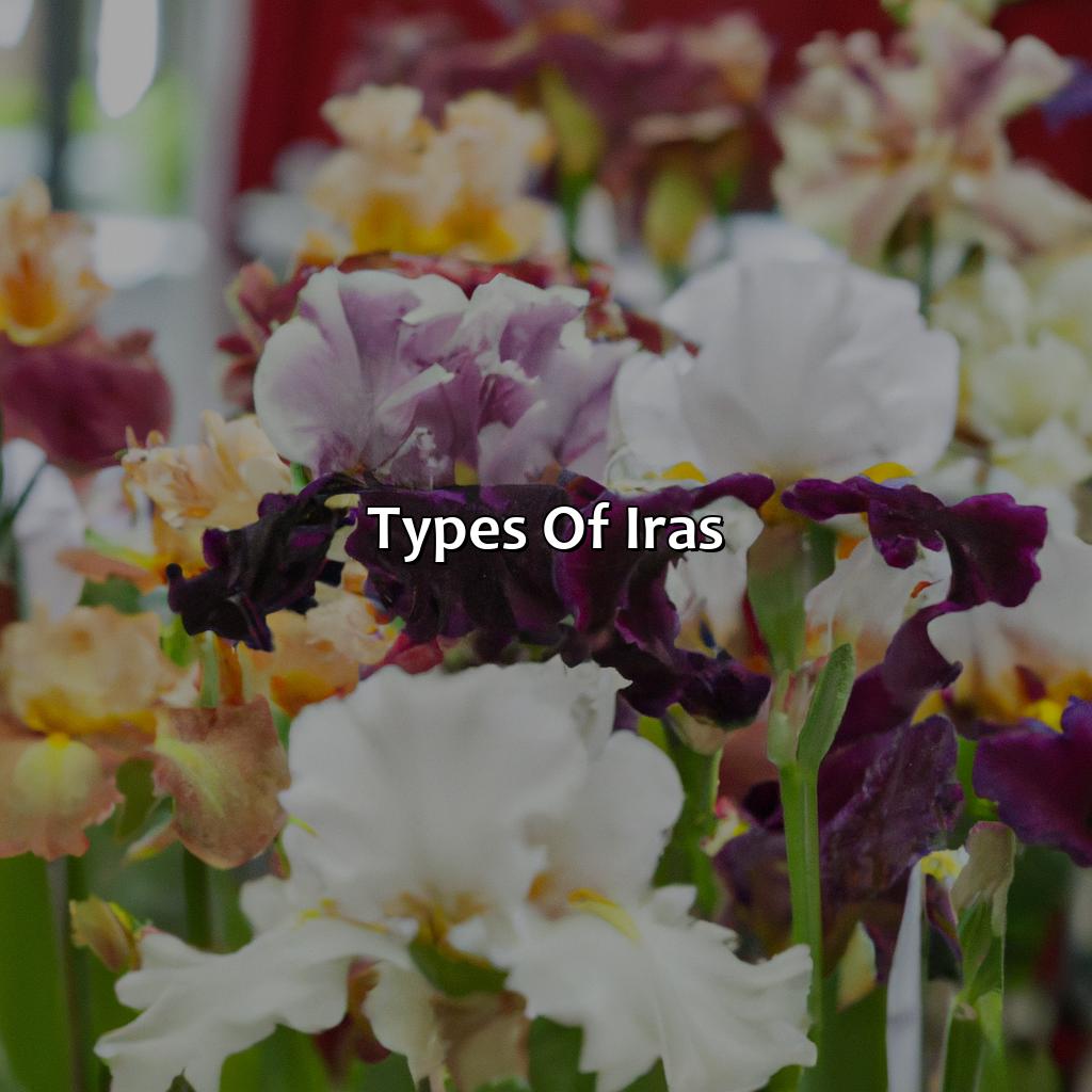 Types of IRAs-what is an individual retirement account ira?, 