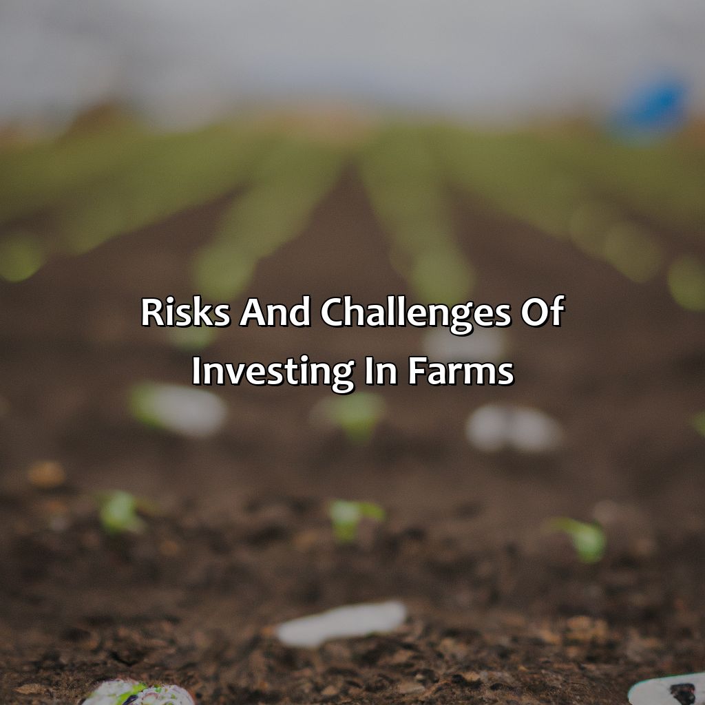 Risks and Challenges of Investing in Farms-what is an investment farm?, 