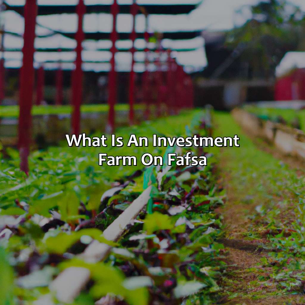 What is an Investment Farm on FAFSA?-what is an investment farm on fafsa?, 