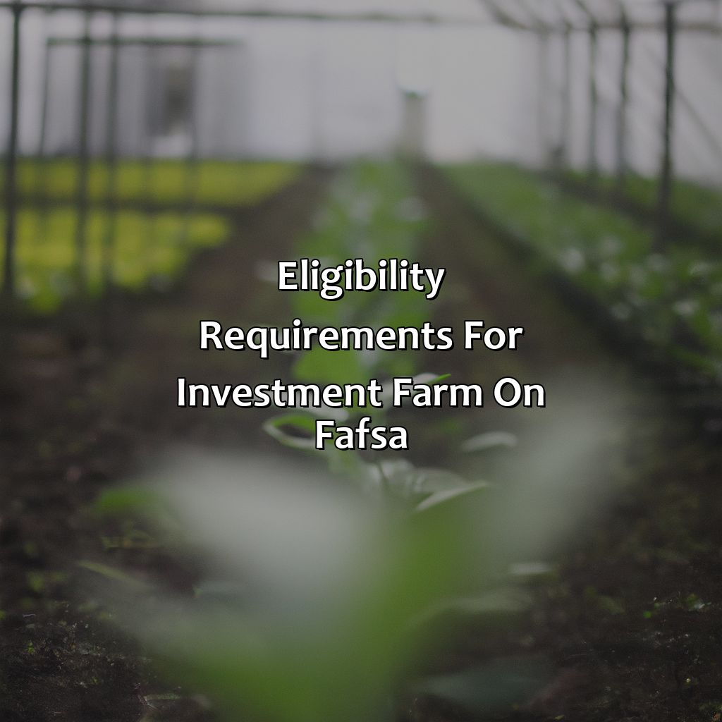 Eligibility Requirements for Investment Farm on FAFSA-what is an investment farm on fafsa?, 