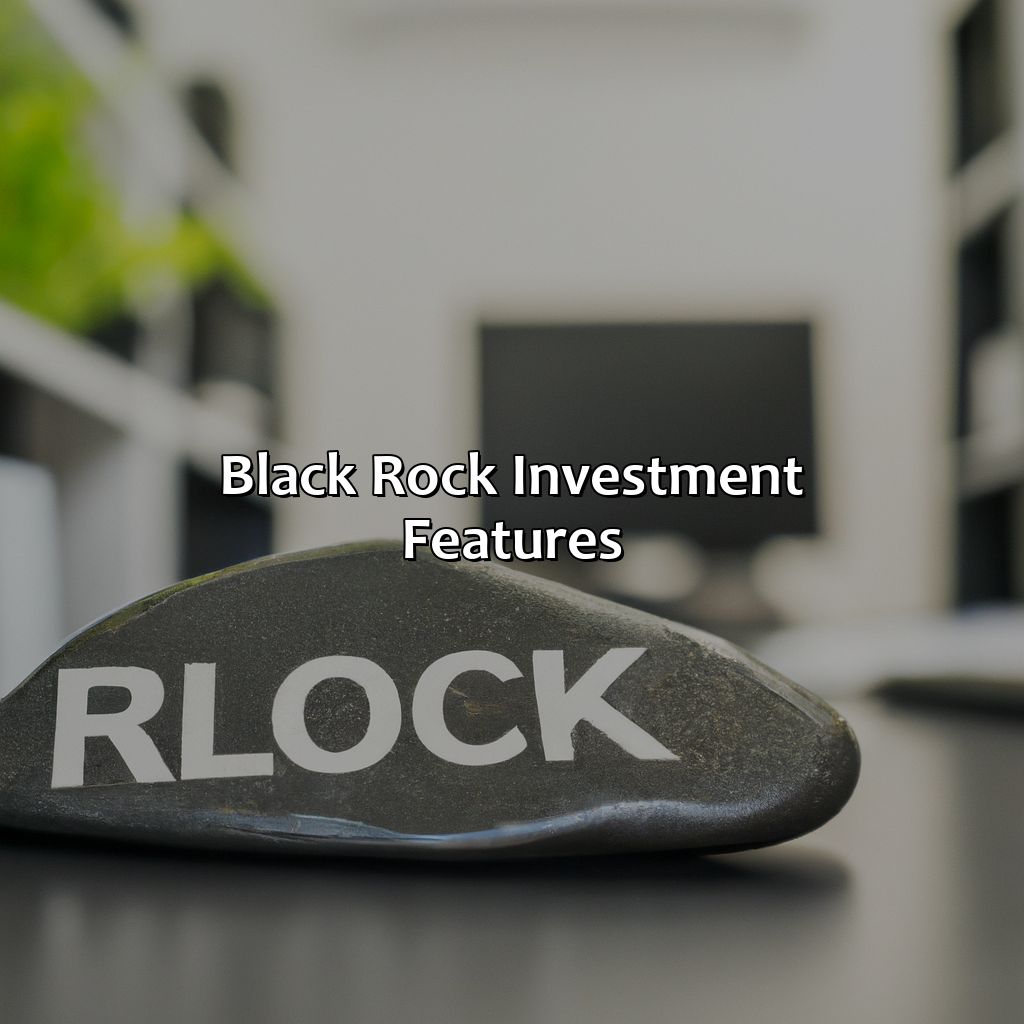 Black Rock Investment Features-what is black rock investment?, 