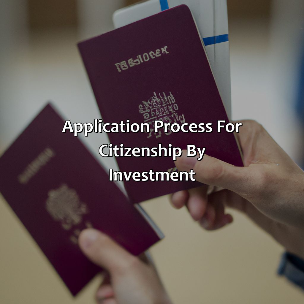 Application Process for Citizenship by Investment-what is citizenship by investment?, 