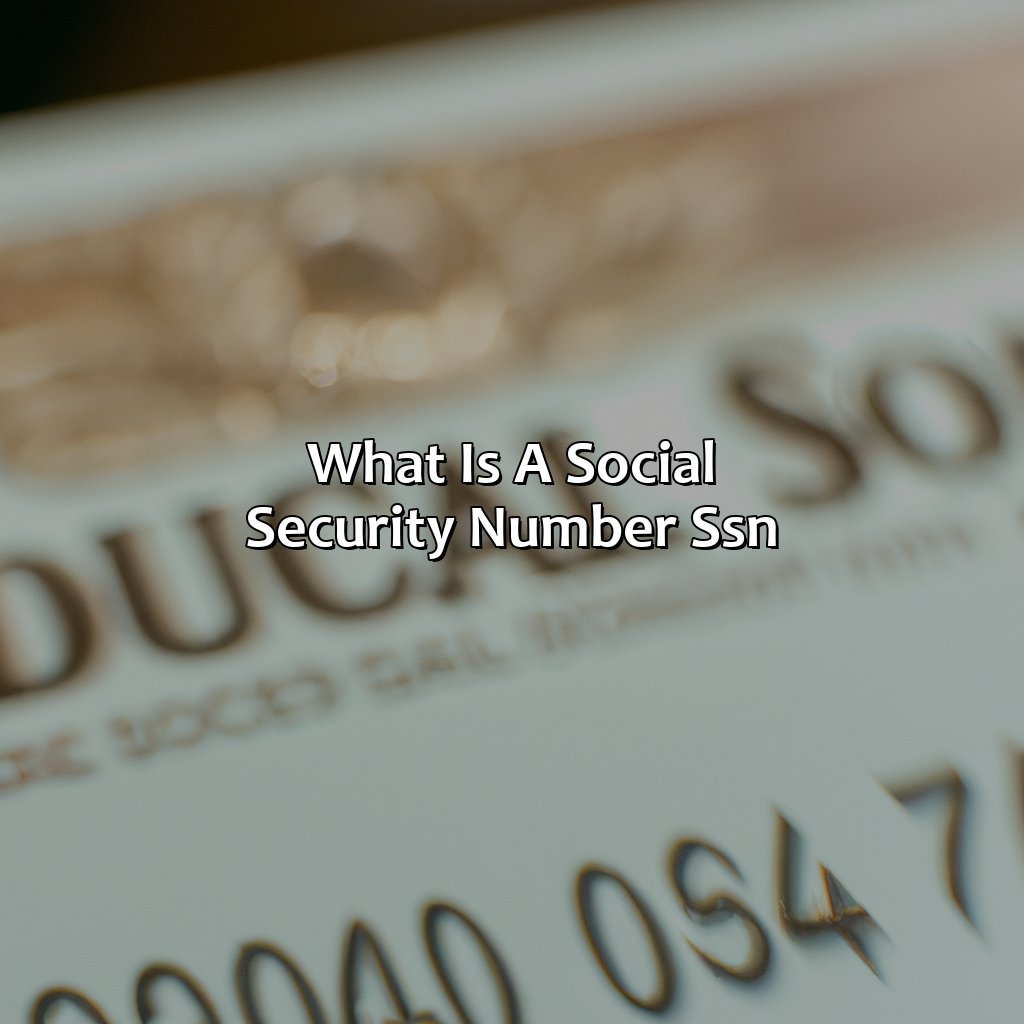 What is a Social Security Number (SSN)?-what is donald trump social security number?, 