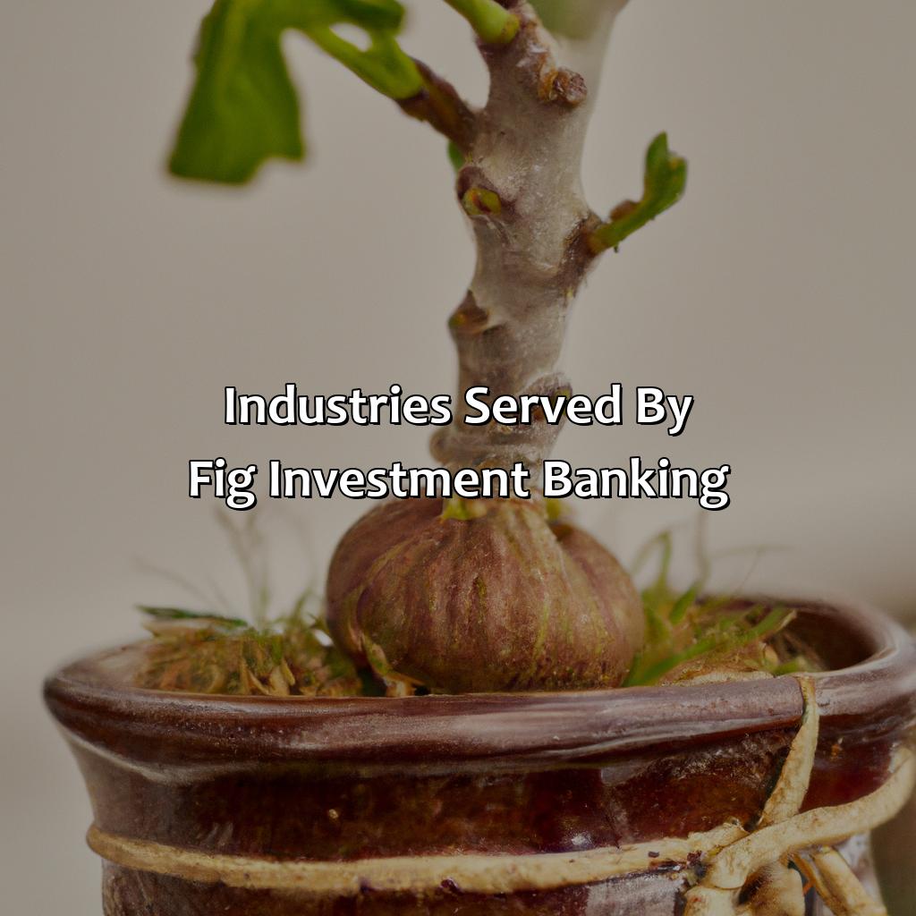 Industries served by Fig Investment Banking-what is fig investment banking?, 
