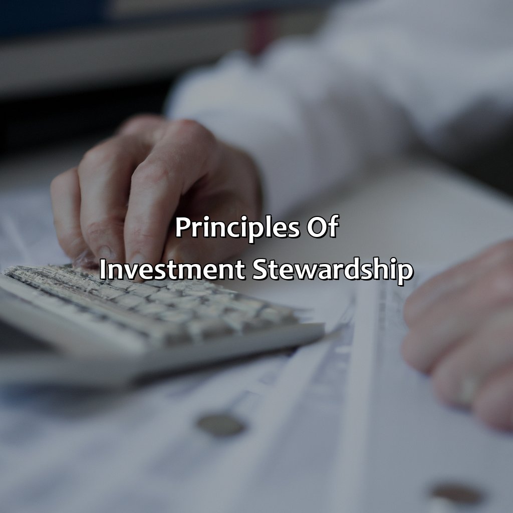 Principles of Investment Stewardship-what is investment stewardship?, 