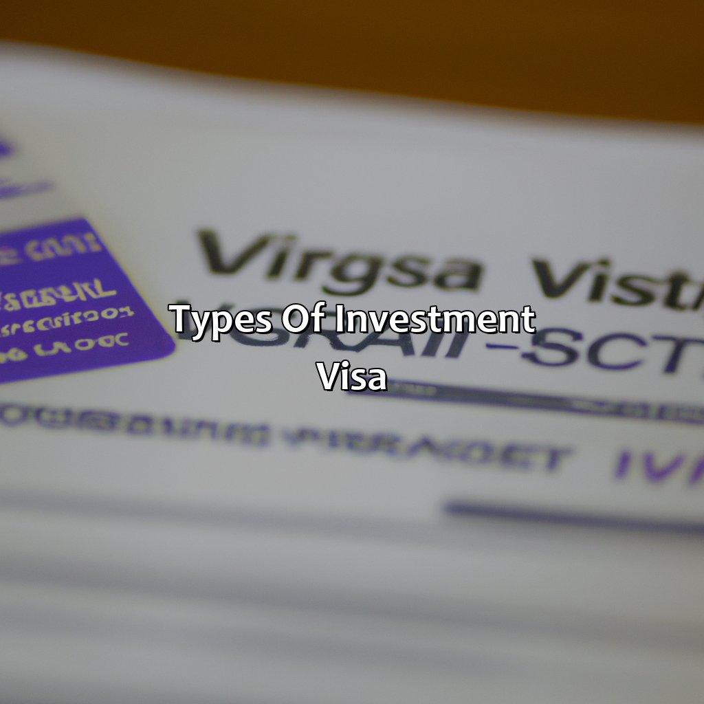 Types of investment visa-what is investment visa for usa?, 