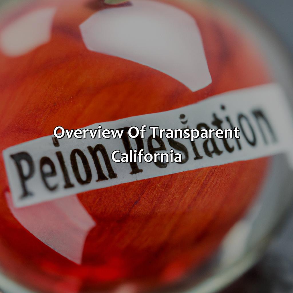 Overview of Transparent California-what is pension debt on transparent california?, 