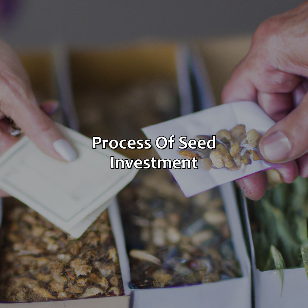 Process of Seed Investment-what is seed investment?, 