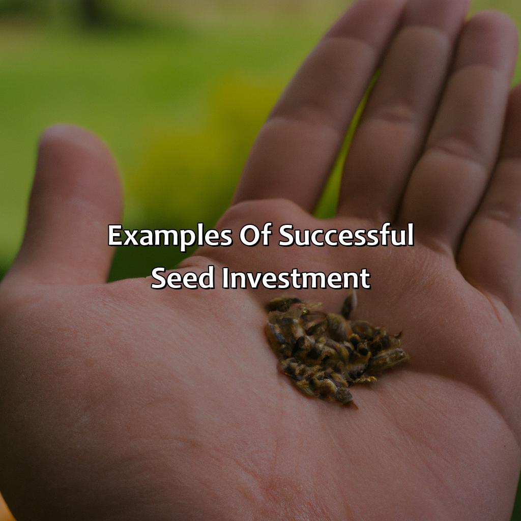 Examples of Successful Seed Investment-what is seed investment?, 