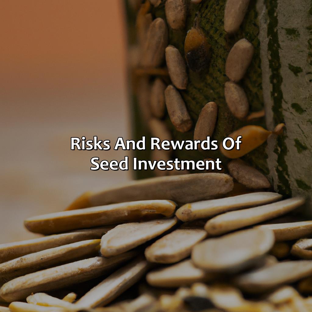 Risks and Rewards of Seed Investment-what is seed investment?, 