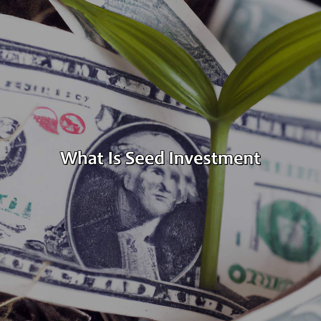 What is seed investment?-what is seed investment?, 