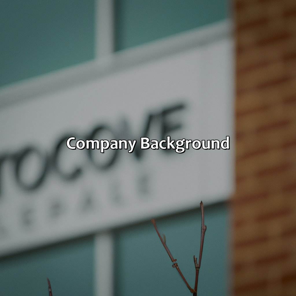 Company Background-what is telcove investment llc?, 