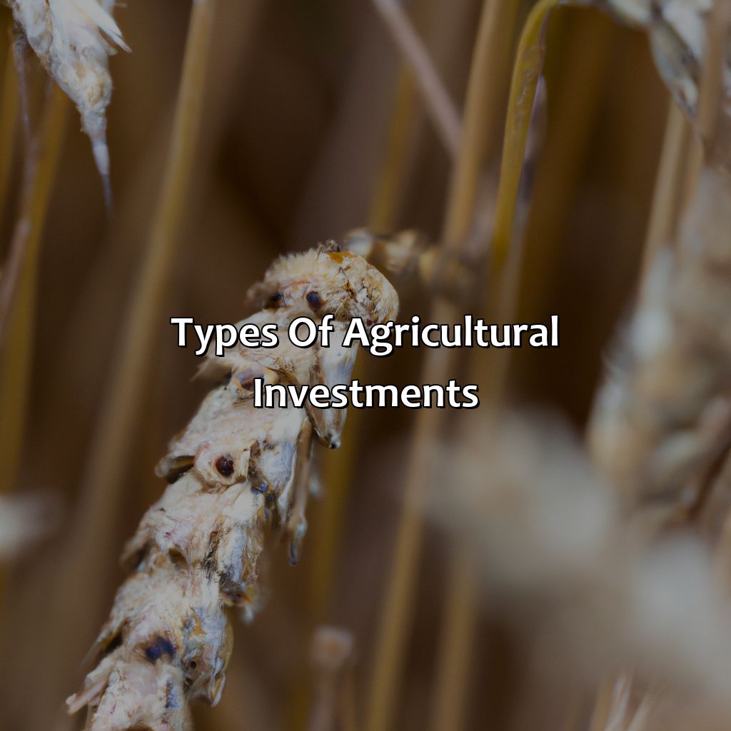 Types of Agricultural Investments-what is the best agricultural investment?, 