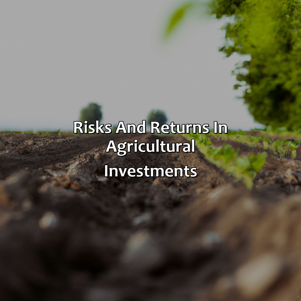 Risks and Returns in Agricultural Investments-what is the best agricultural investment?, 