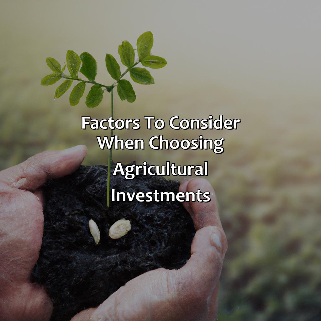 Factors to Consider when Choosing Agricultural Investments-what is the best agricultural investment?, 