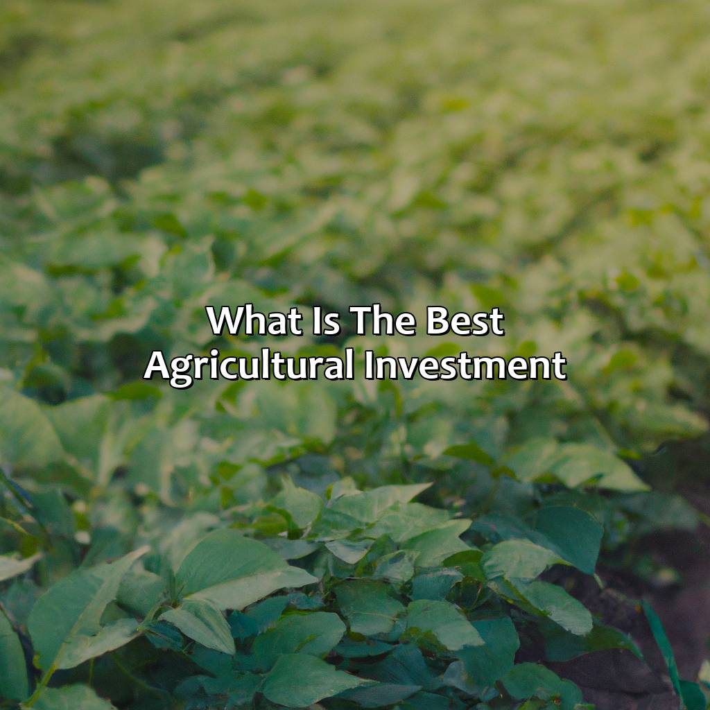 What Is The Best Agricultural Investment?