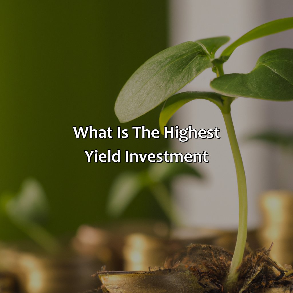 What Is The Highest Yield Investment?