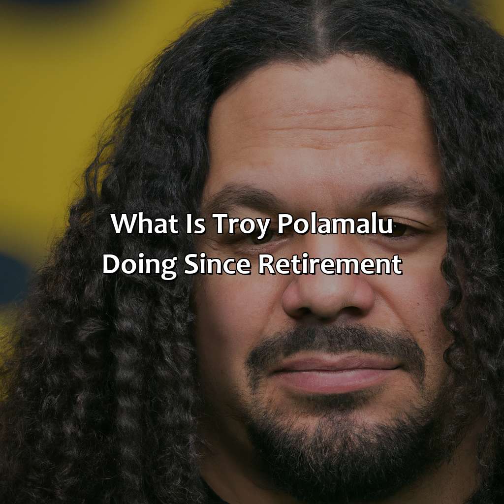 What Is Troy Polamalu Doing Since Retirement?