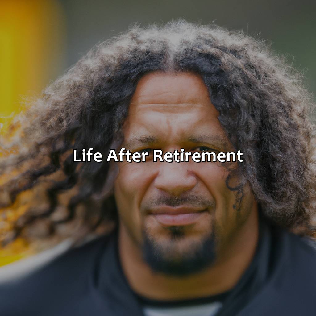 Life after Retirement-what is troy polamalu doing since retirement?, 