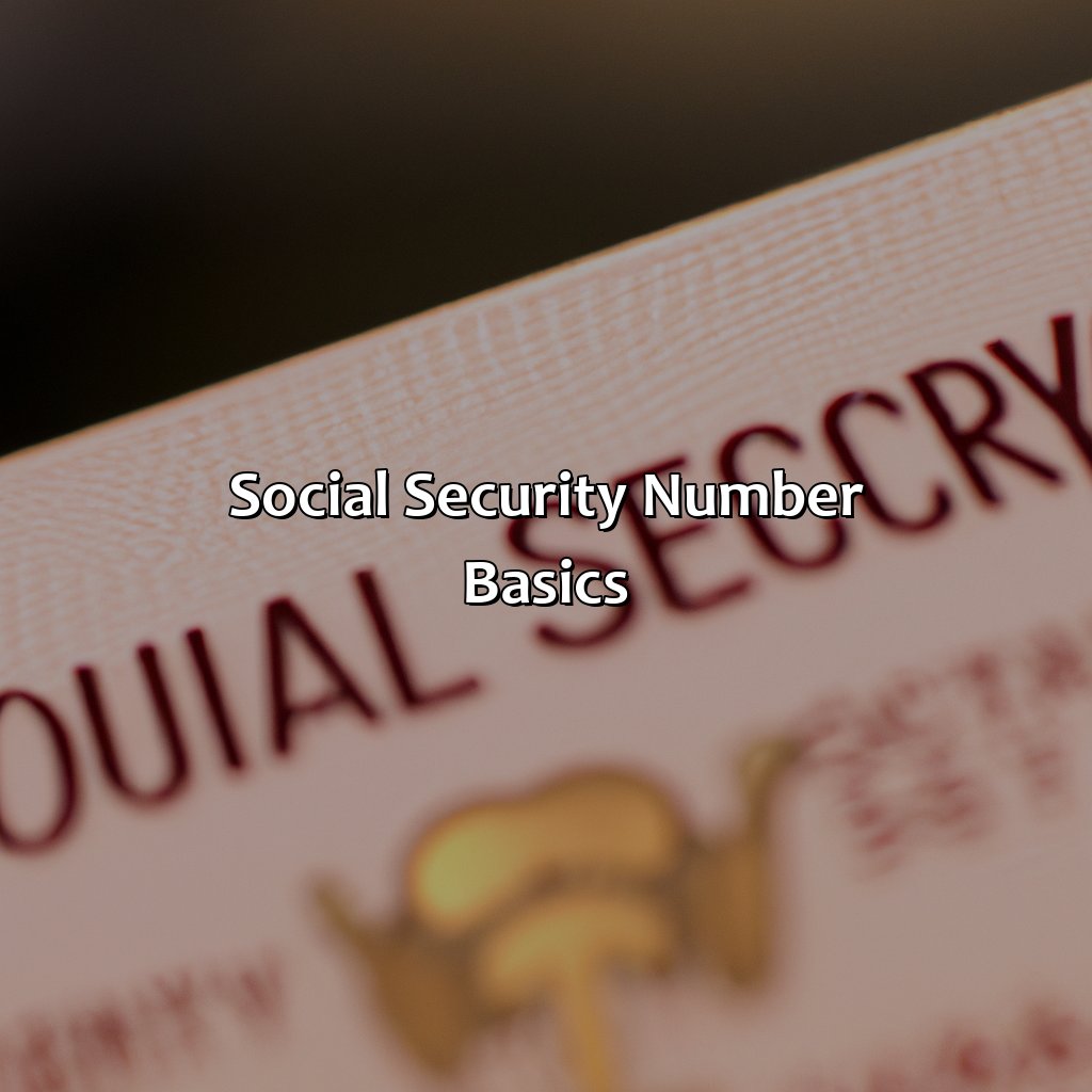 Social security number basics-what makes up a social security number?, 