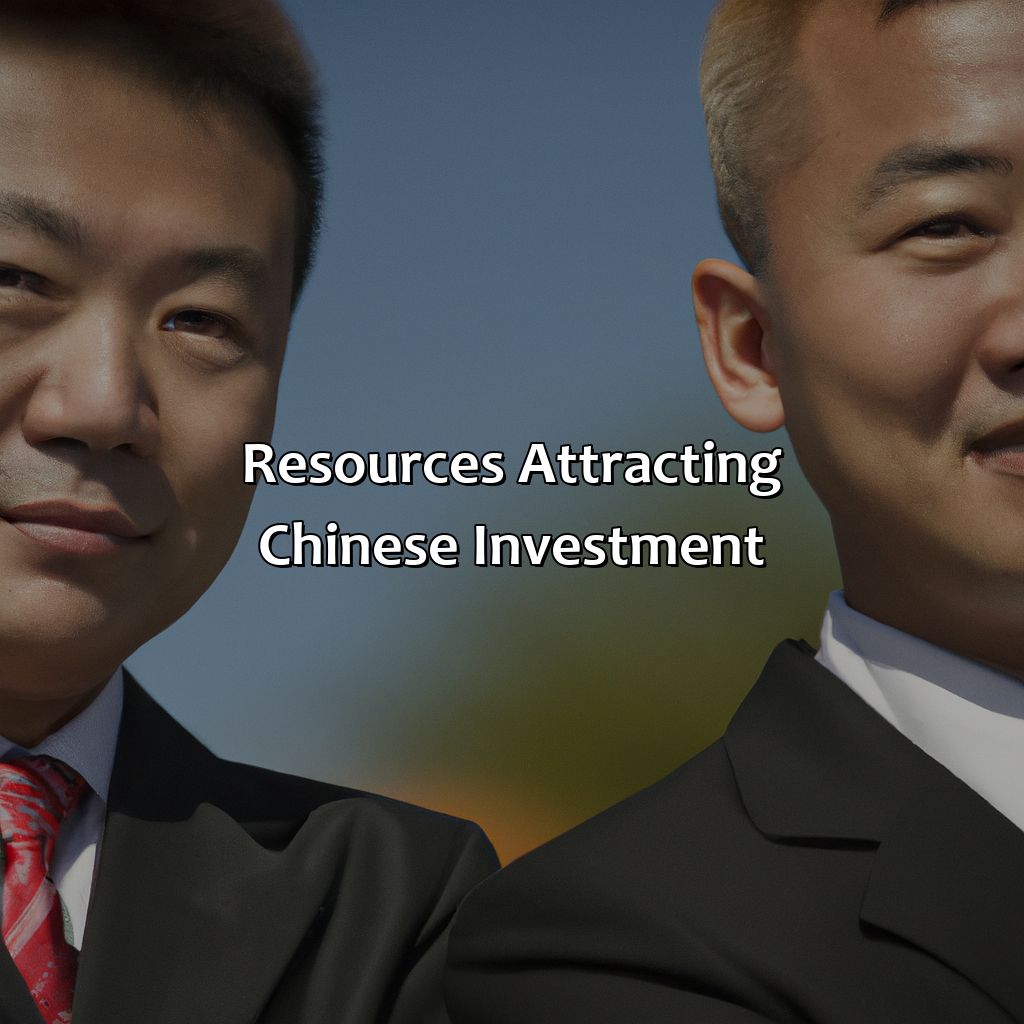 Resources Attracting Chinese Investment-what resource has drawn chinese investment to sub-saharan africa?, 