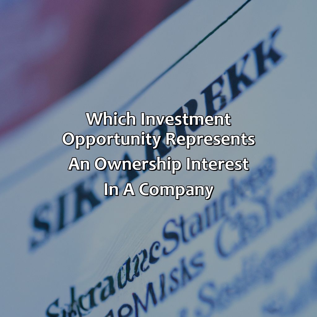 Which Investment Opportunity Represents An Ownership Interest In A Company?