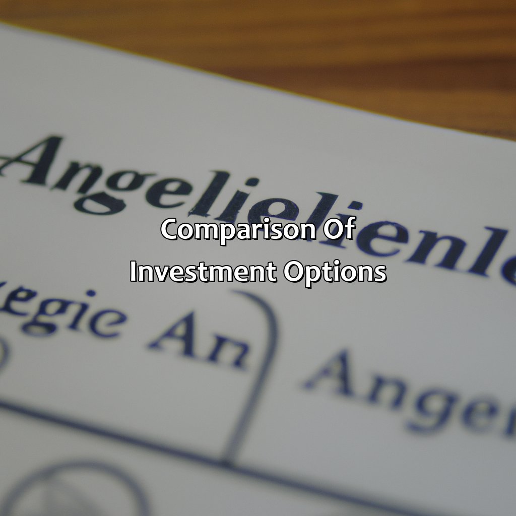 which investment option should angela choose