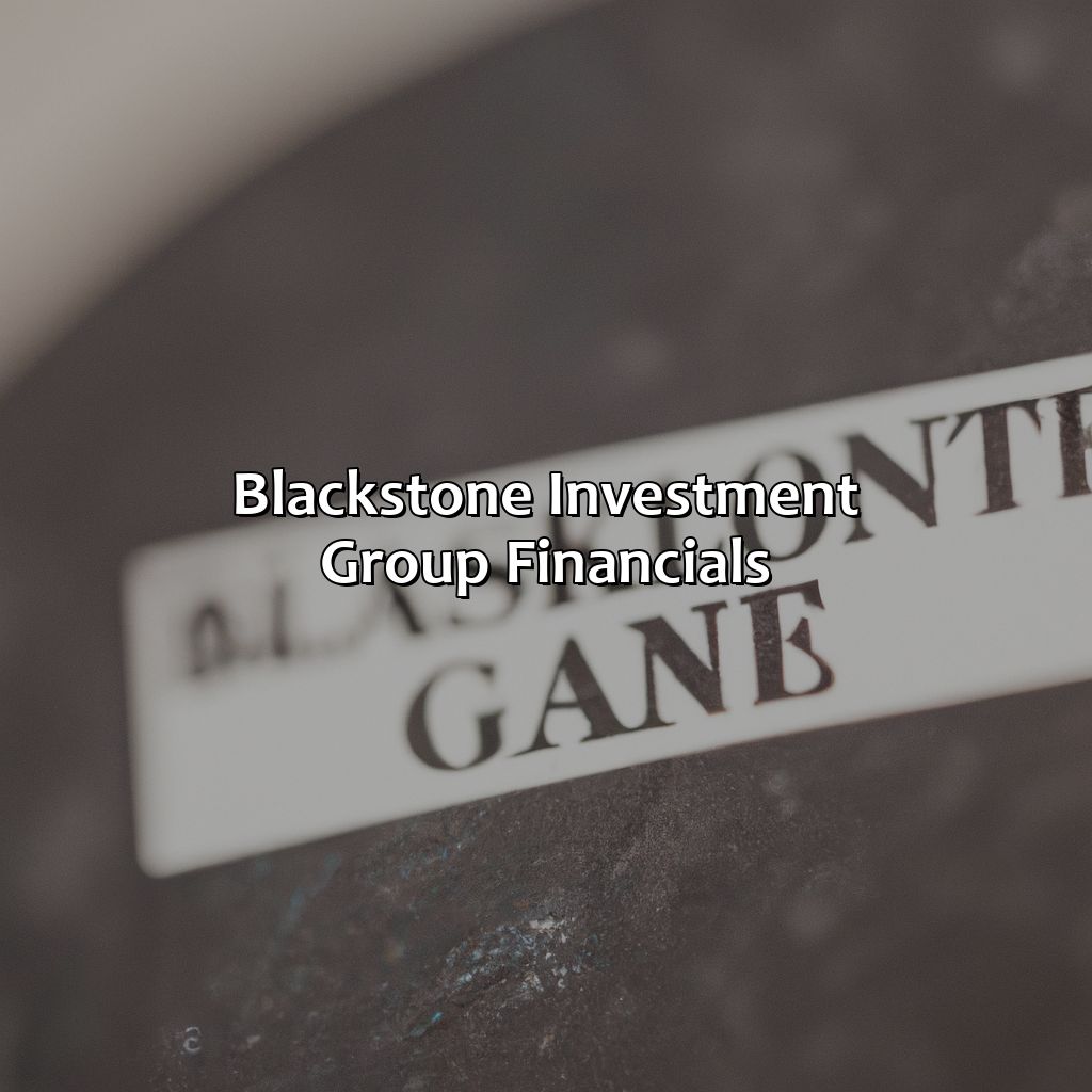 Blackstone Investment Group Financials-who owns blackstone investment group?, 