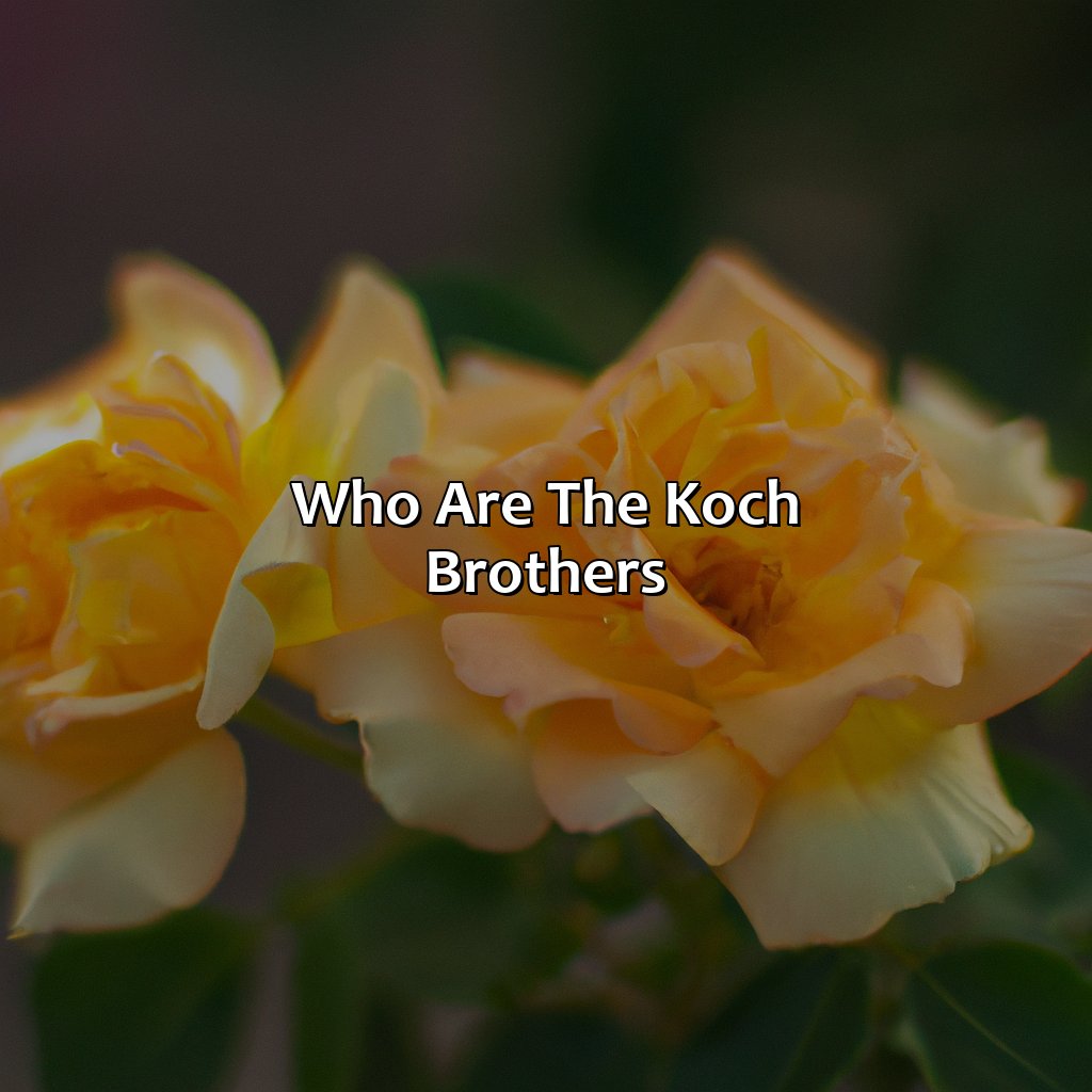 Who are the Koch Brothers?-why do the koch brothers hate social security?, 