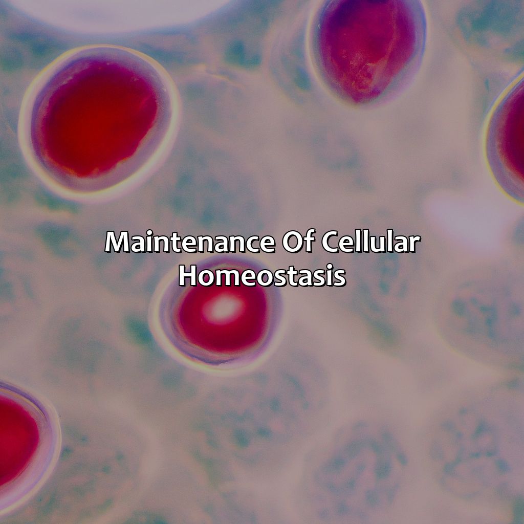 Maintenance of Cellular Homeostasis-why is it an investment for the cell to use?, 