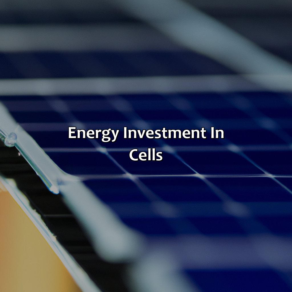 Energy Investment in Cells-why is it an investment for the cell to use?, 