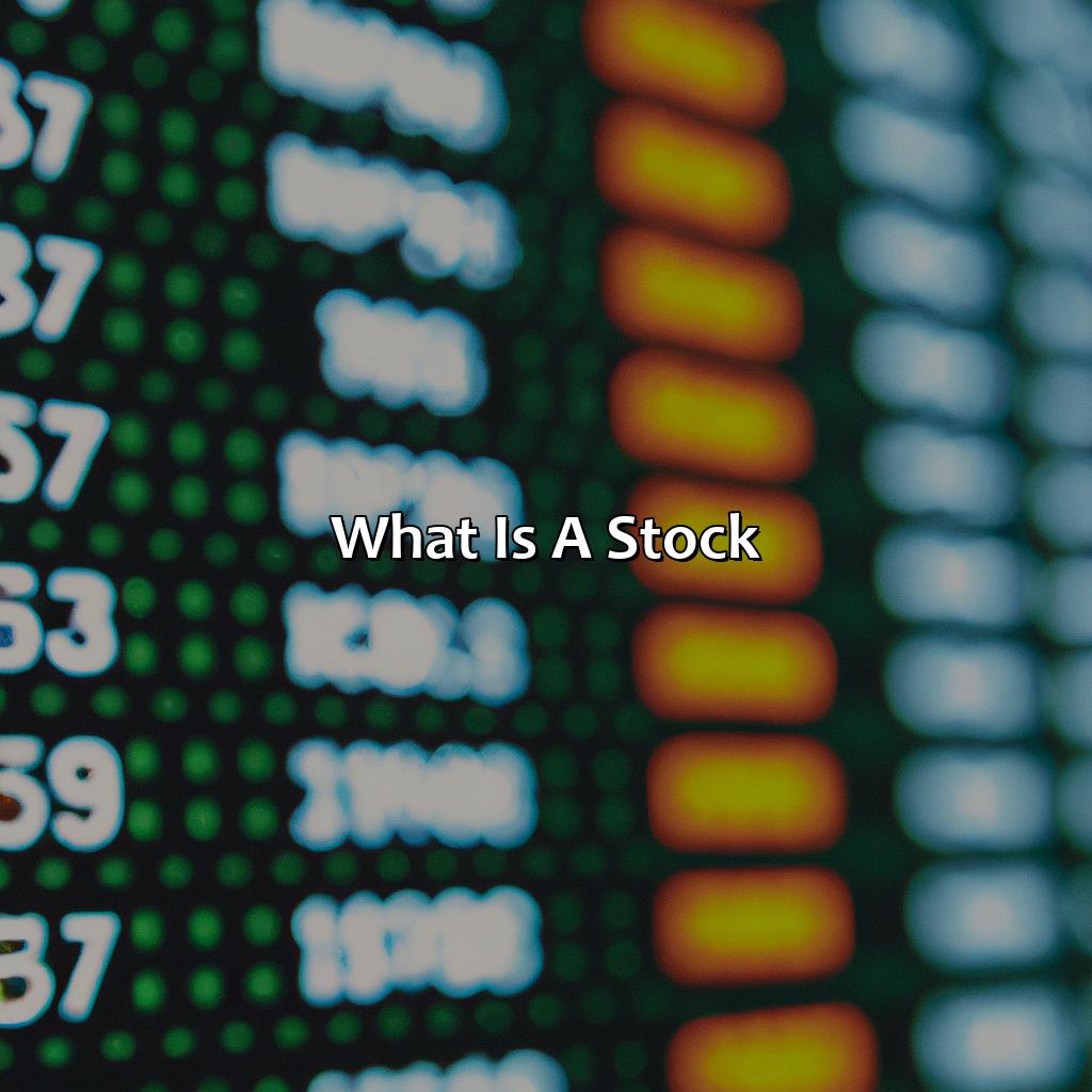 What is a stock?-why might a stock be an investment that can have some risks?, 